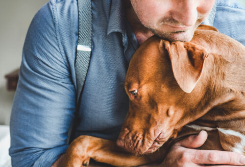 Owner Hugging Dog