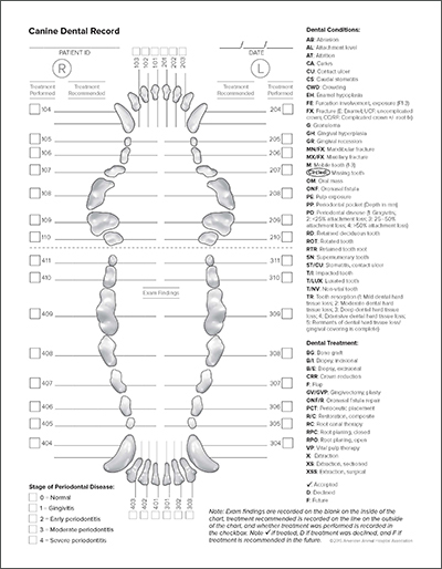 Image of canine dental record form