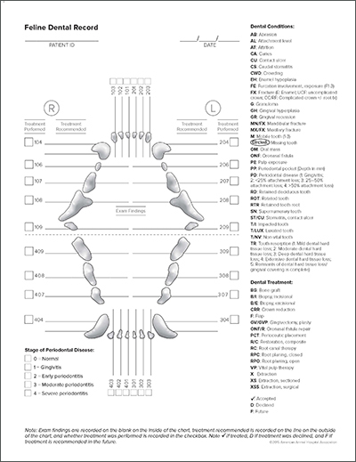 Image of Feline Dental Record Form