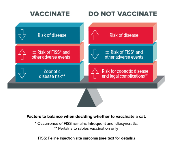 Feline vaccine risk assessment infographic