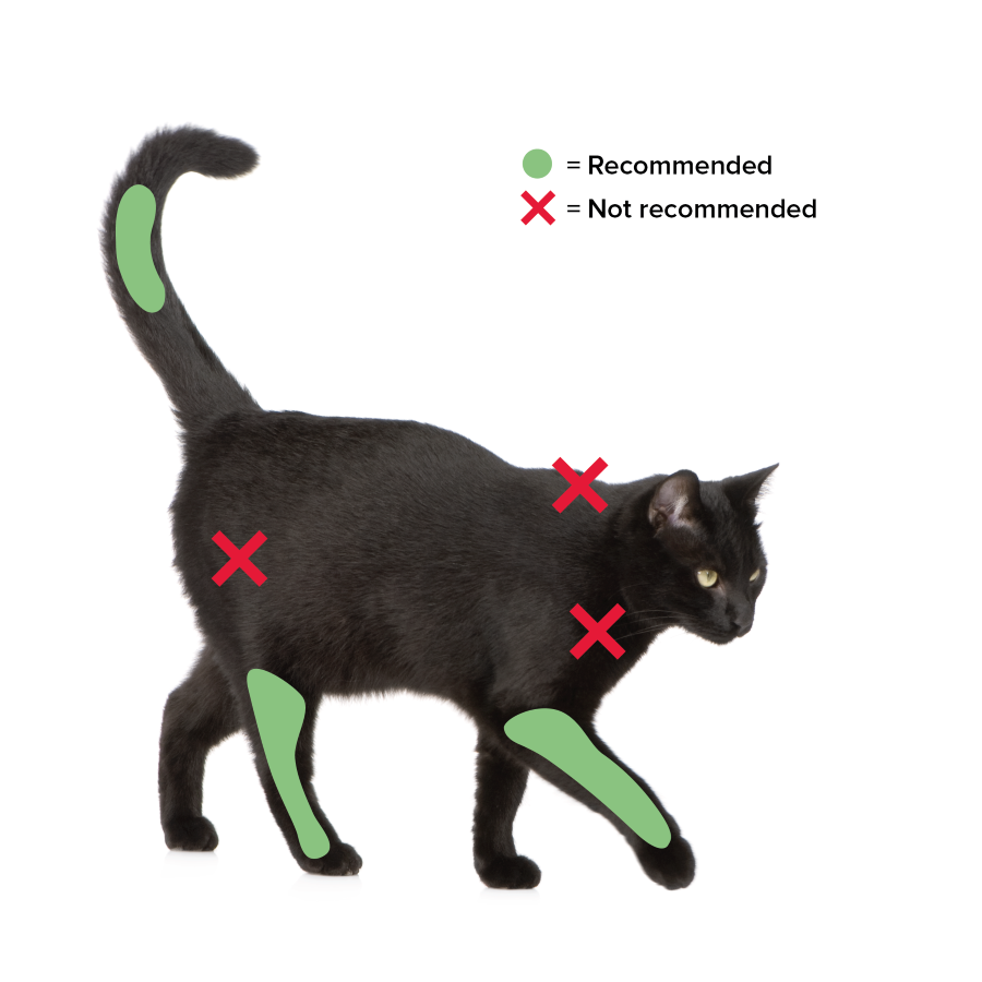 Recommended injection sites in distal limbs and tail