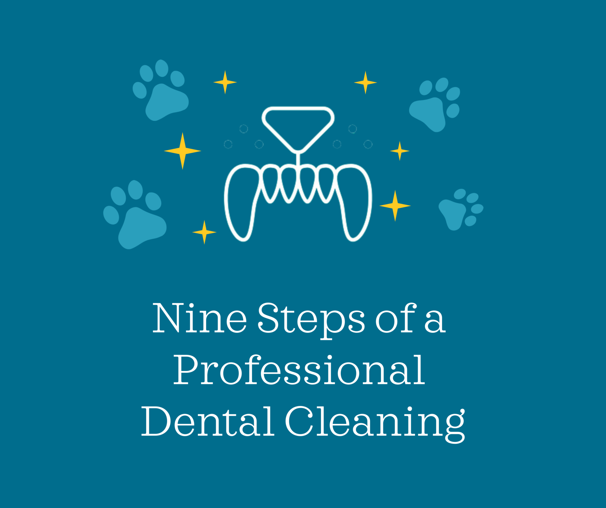Nine steps of a professional dental cleaning