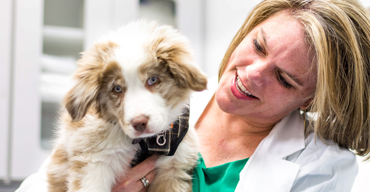 Behavior specialist, Amy L. Pike, DVM DACVB, IAABC-CDBC, holding a dog.