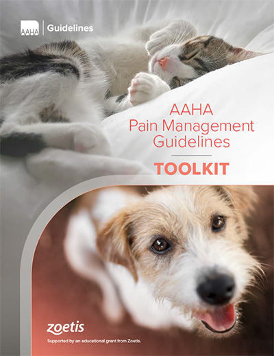 Pain Management toolkit Cover