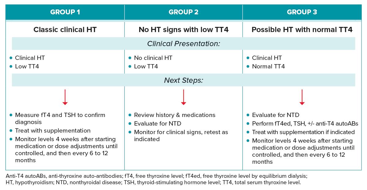 Summary of Categorical Approach to Diagnosing Suspected Canine Hypothyroidism