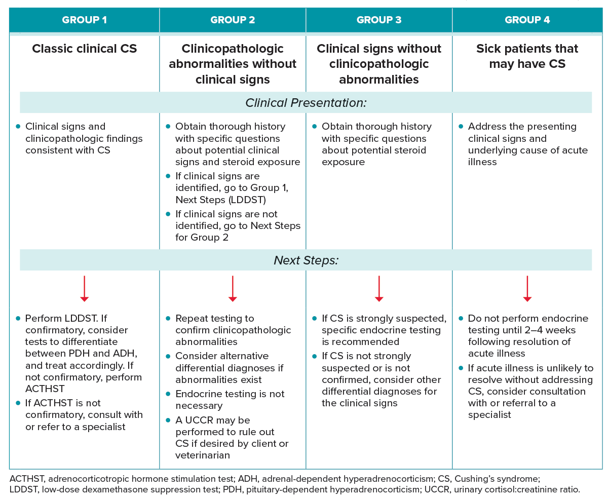 Summary of Categorical Approach to Diagnosing Suspected Canine Hypercortisolism