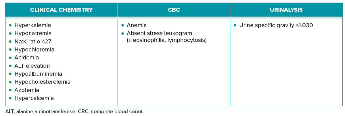 Laboratory Changes That Can Occur with Hypoadrenocorticism