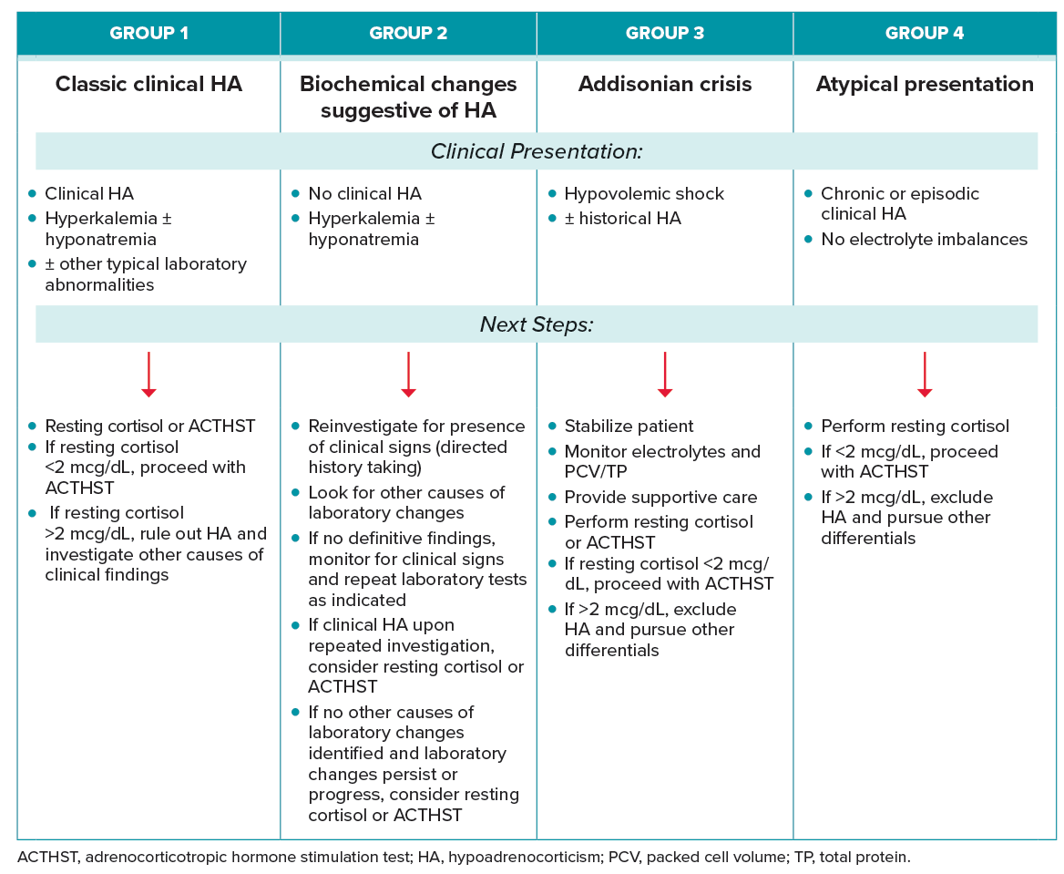 Summary of Categorical Approach to Diagnosing Suspected Canine Hypoadrenocorticism
