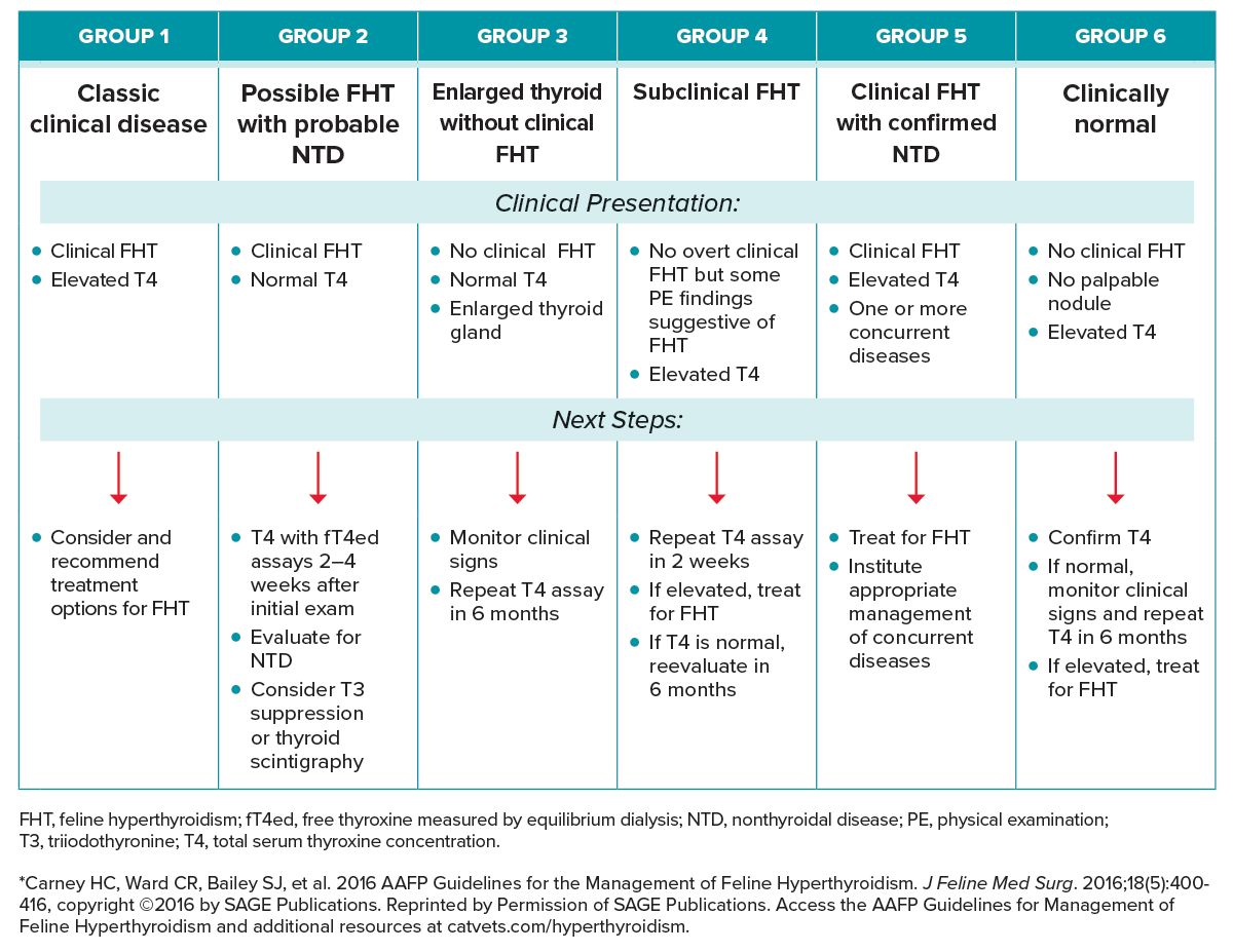 Summary of Categorical Approach to Diagnosing Suspected Feline Hyperthyroidism