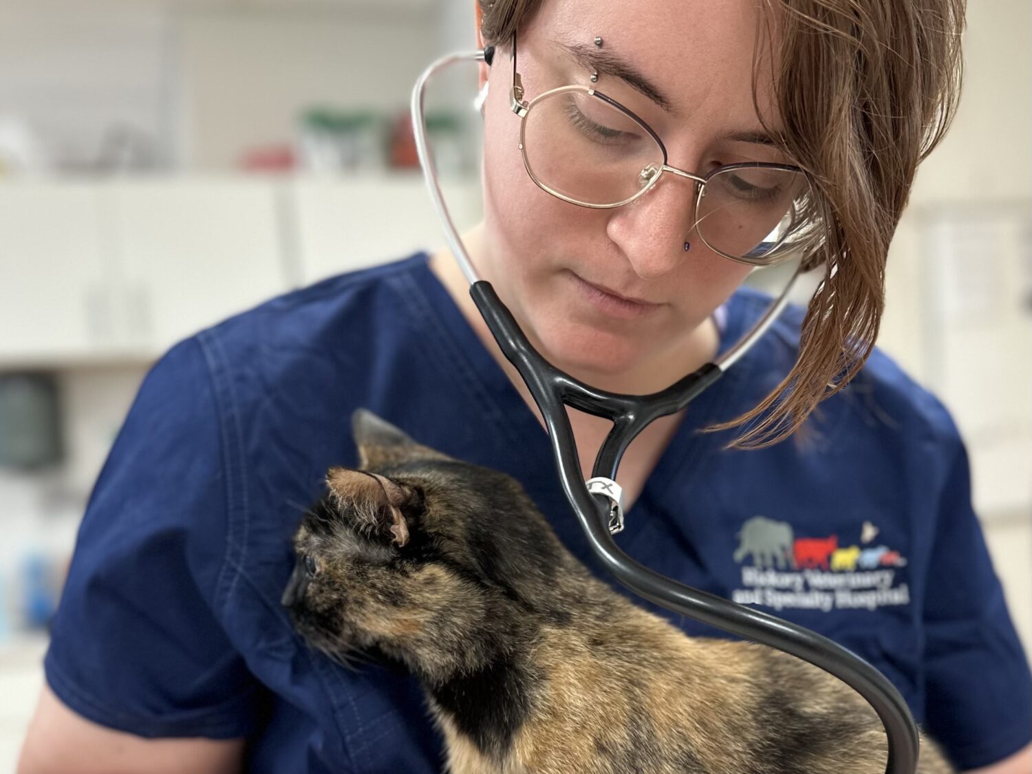 Elizabeth Musgreave, CVT, holds a patient