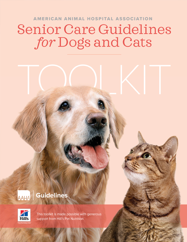 Senior Care Guidelines Toolkit Cover