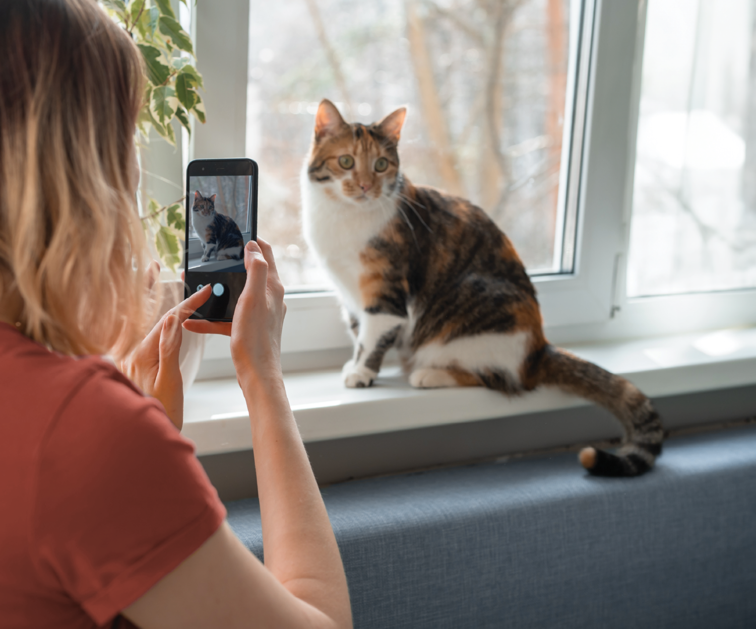 Photo of a pet owner taking a video of her cat. Recording your pet's behavior helps your veterinarian understand the issue much better.