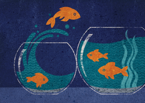 An illustration of a fish in a small fish bowl jumping over to a larger fish bowl to represent poor staff retention efforts