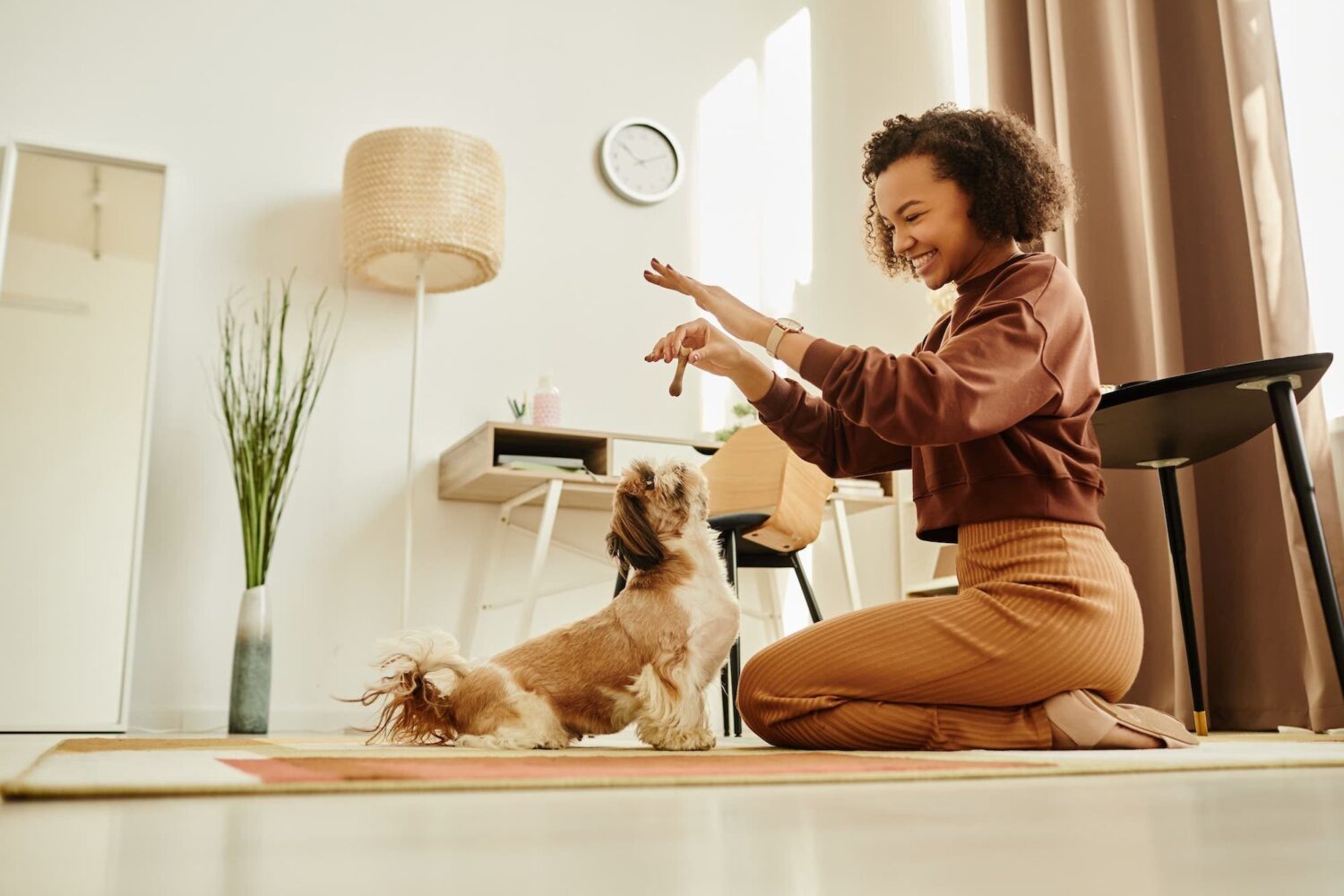 Woman playing with healthy and happy pet dog
