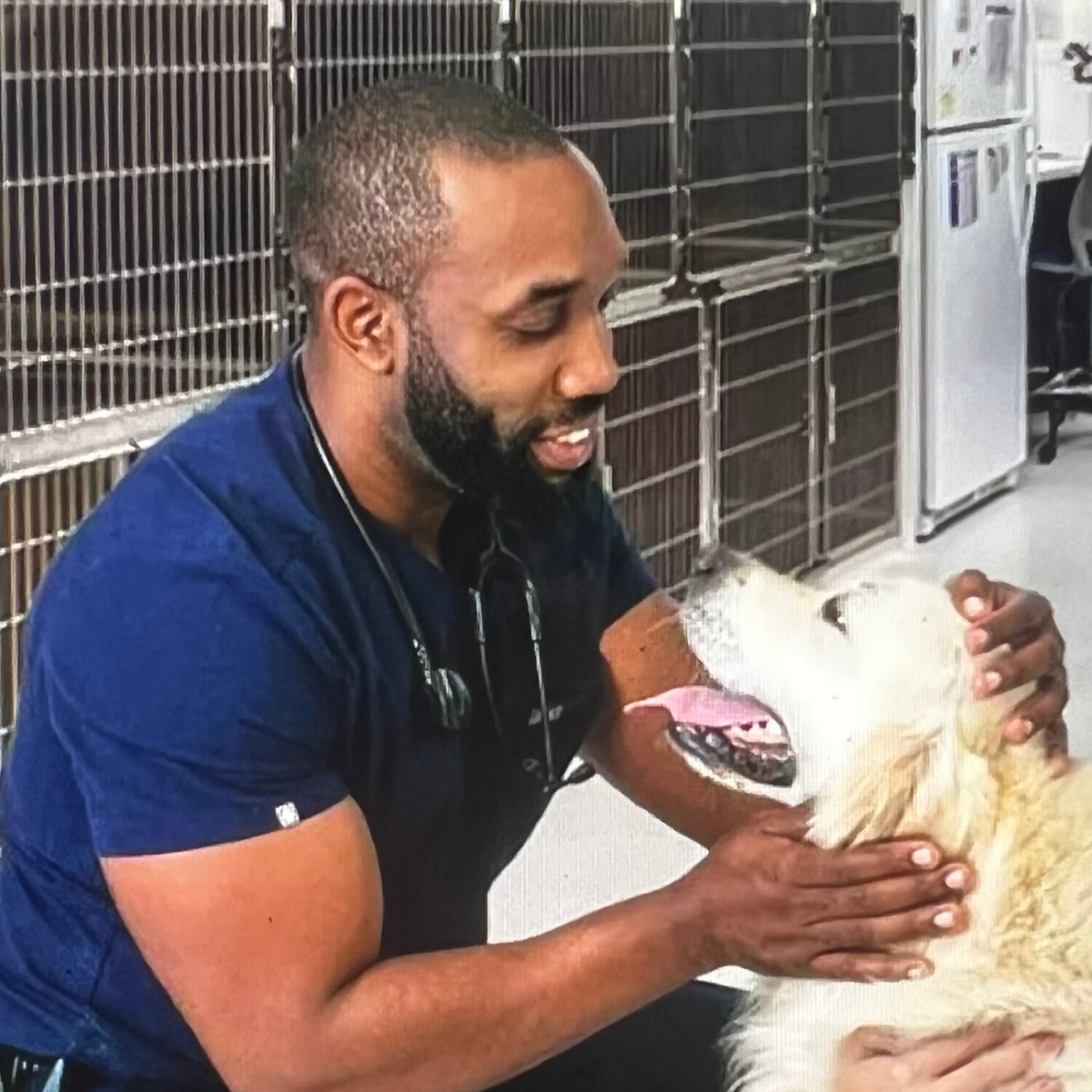 Headshot of James Desir, DVM, a speaker at the Beyond Medicine Workshop specializing in promoting well-being for both veterinary teams and patients.