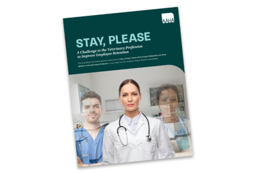 Stay, Please Whitepaper Cover