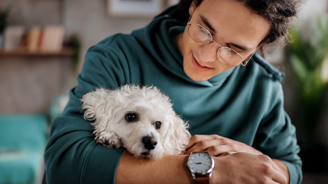 Owner holding puppy