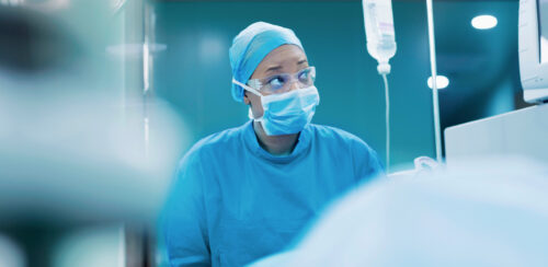 Veterinarian monitoring IV drip
