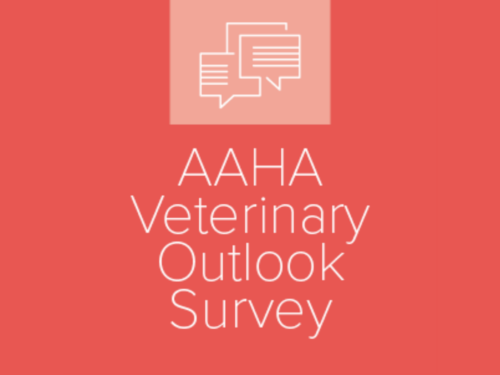 AAHA Veterinary Outlook Survey