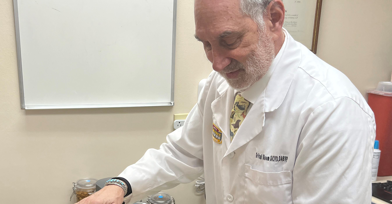 Dermatology specialist Paul Bloom, DVM, DACVD, DABVP (Canine and Feline)