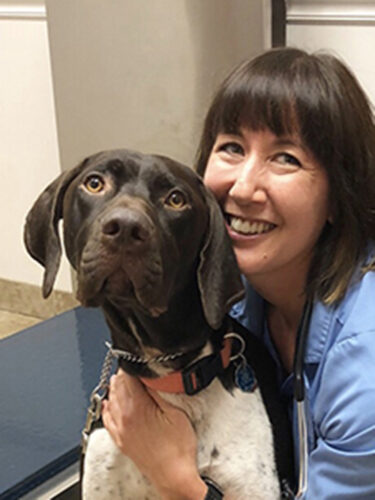 Veterinarian Katie Berlin