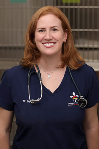 Caitlyn DeWilde, veterinarian and founder of The Social DVM