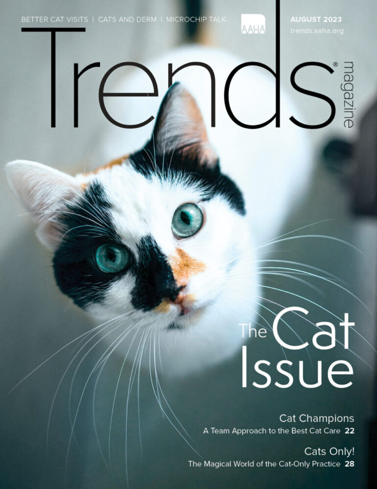 Cover of August 2023 Trends—A closeup photo of a beautiful calico cat