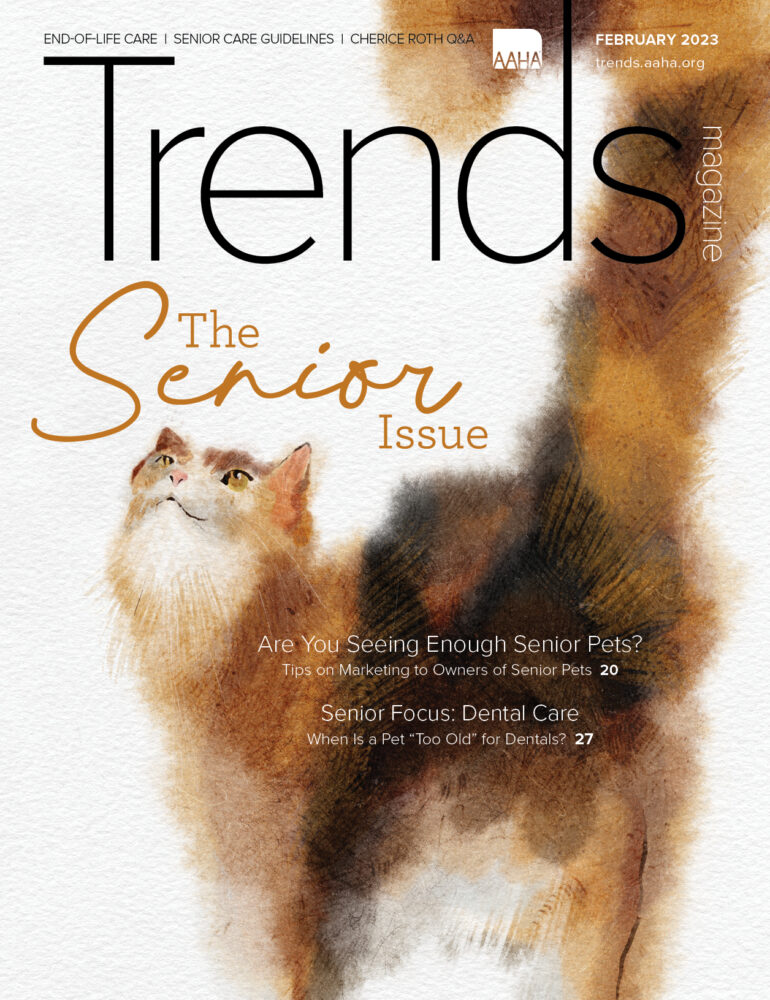 Cover of February 2023 Trends—Watercolor image of a senior cat
