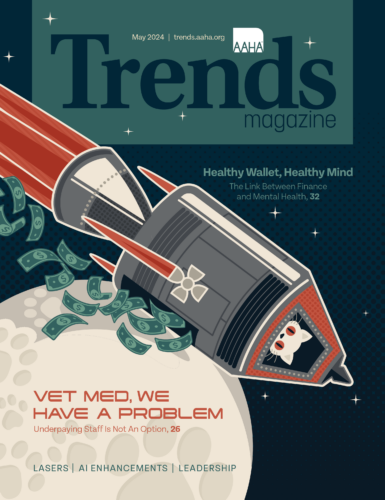 Cover of May 2024 Trends. Image of a rocket venting money with a worried cat inside.