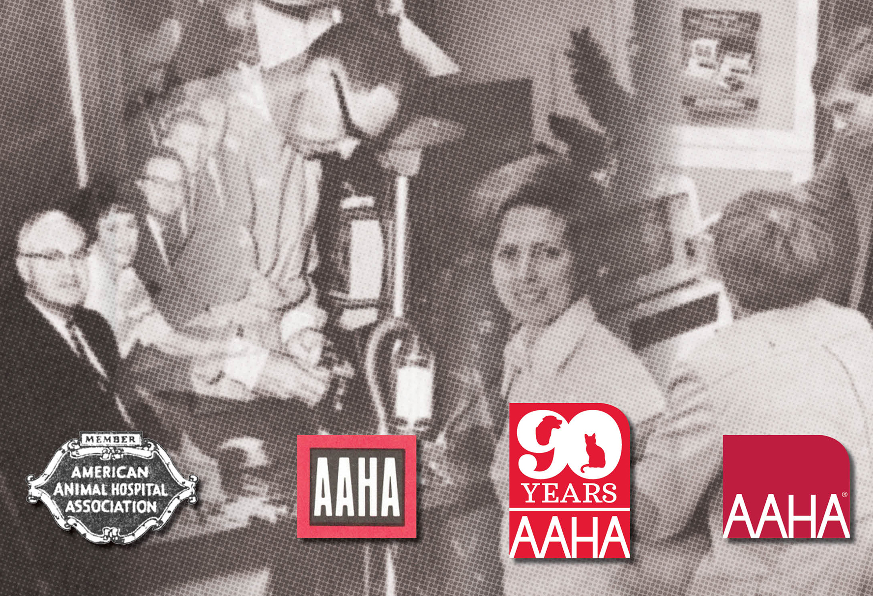 Historical photo of former AAHA members and leadership. Also showing old AAHA logos