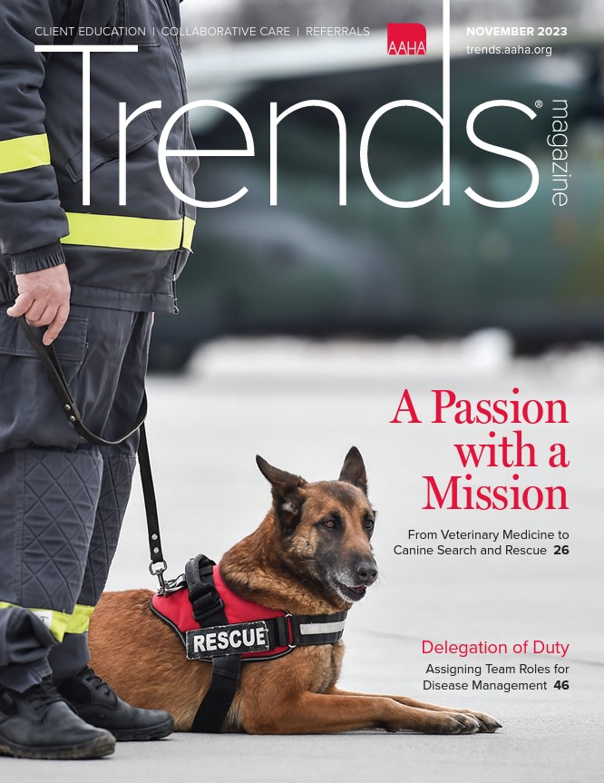 Cover of November 2023 Trends—Photo of a search and rescue dog with his handler.