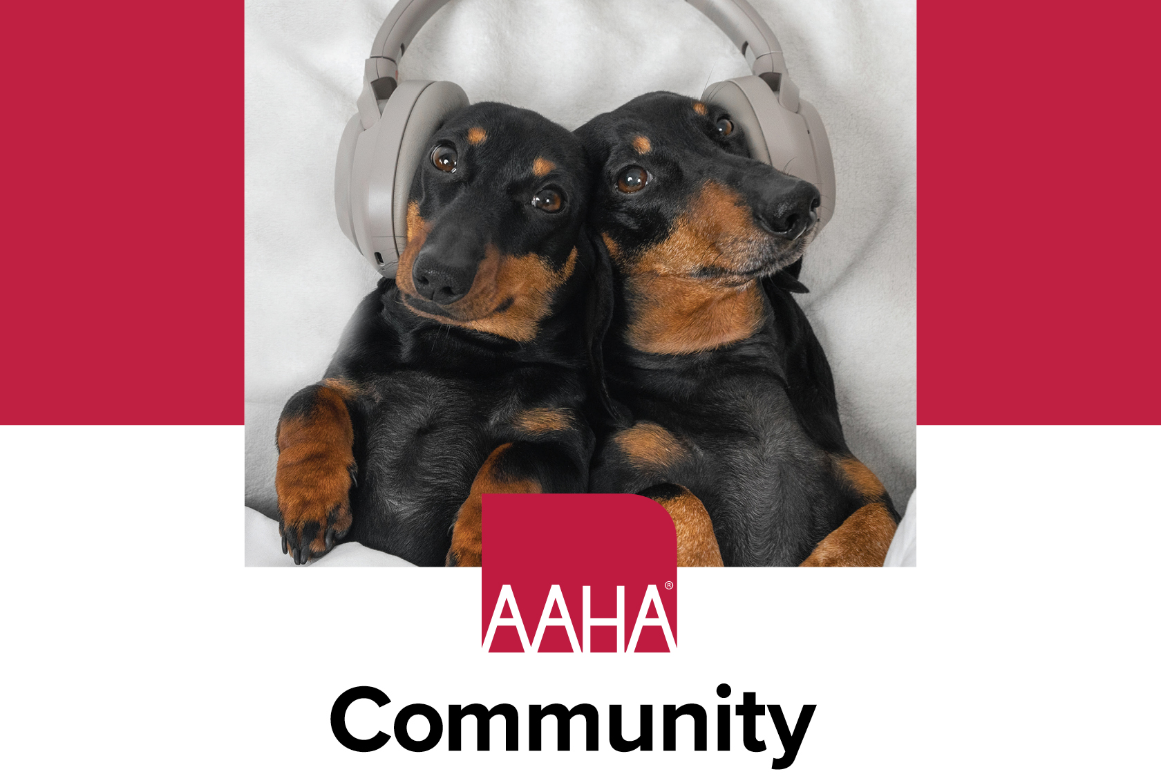 Banner for AAHA Community