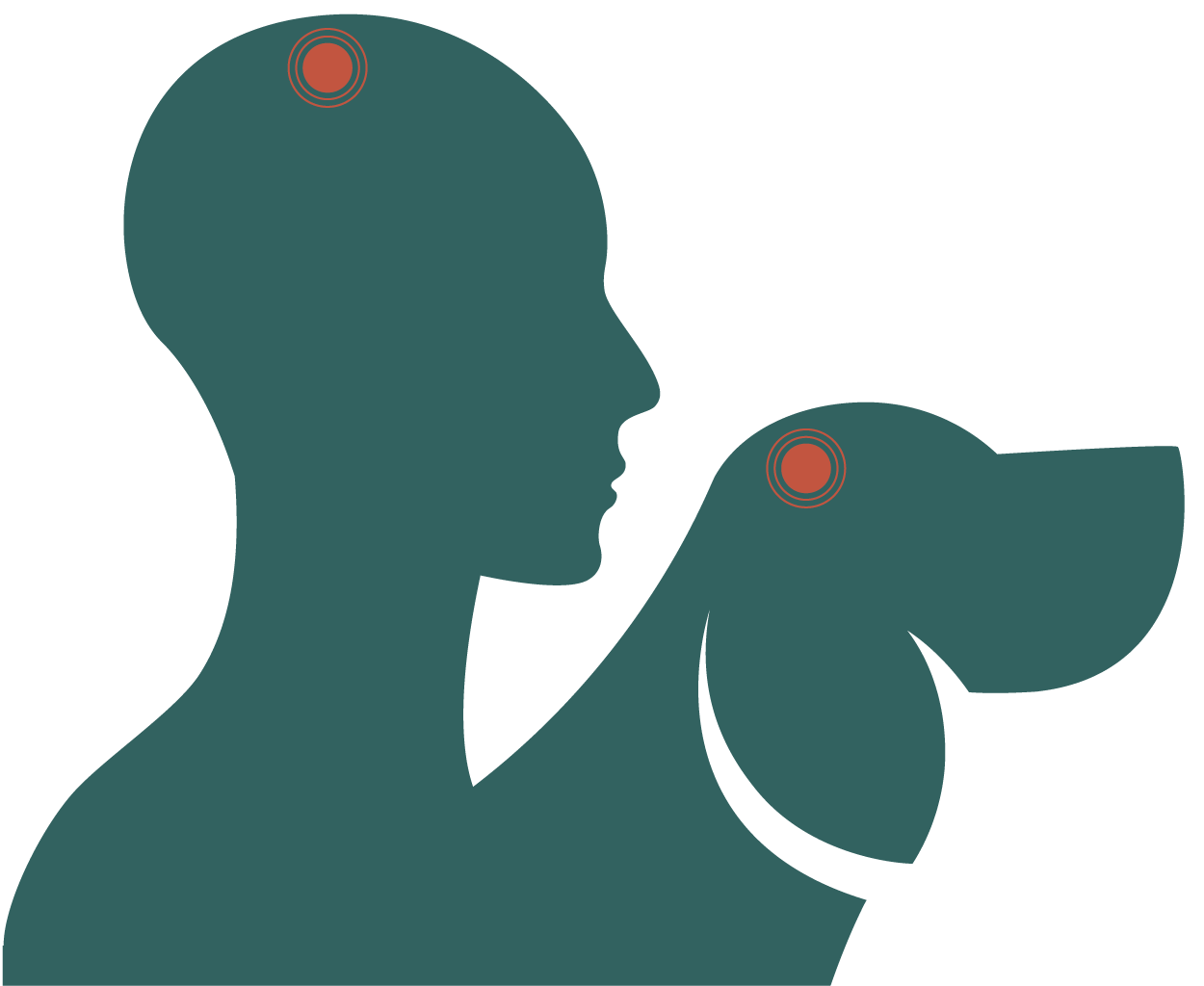 Silhouette of a human and a dog with targets on the heads of both
