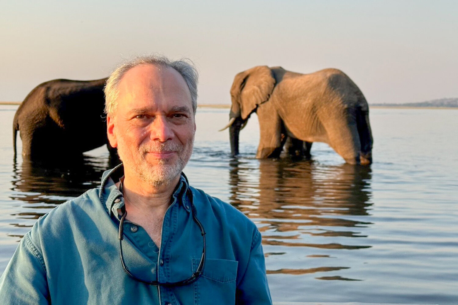 Photo of Steve Osofsky with elephants in the background