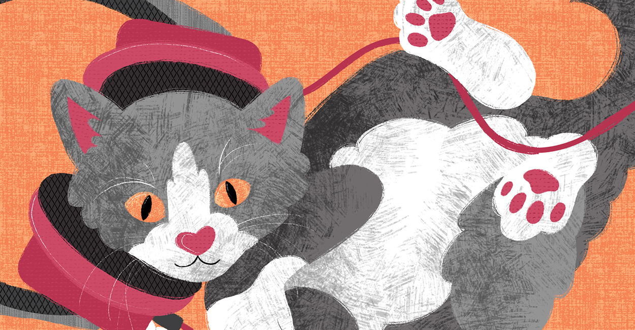 Illustration of a cat with headphones on listening to a podcast