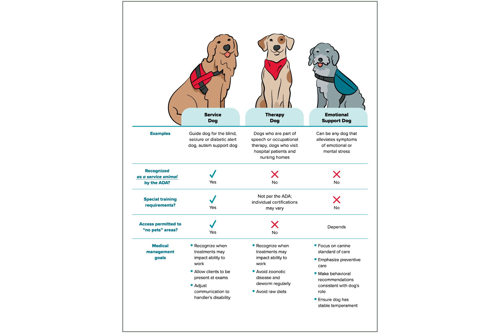 A chart from the 2021 AAHA Working, Assistance, and Therapy Dog Guidelines Toolkit showing the different types of assistance dogs.