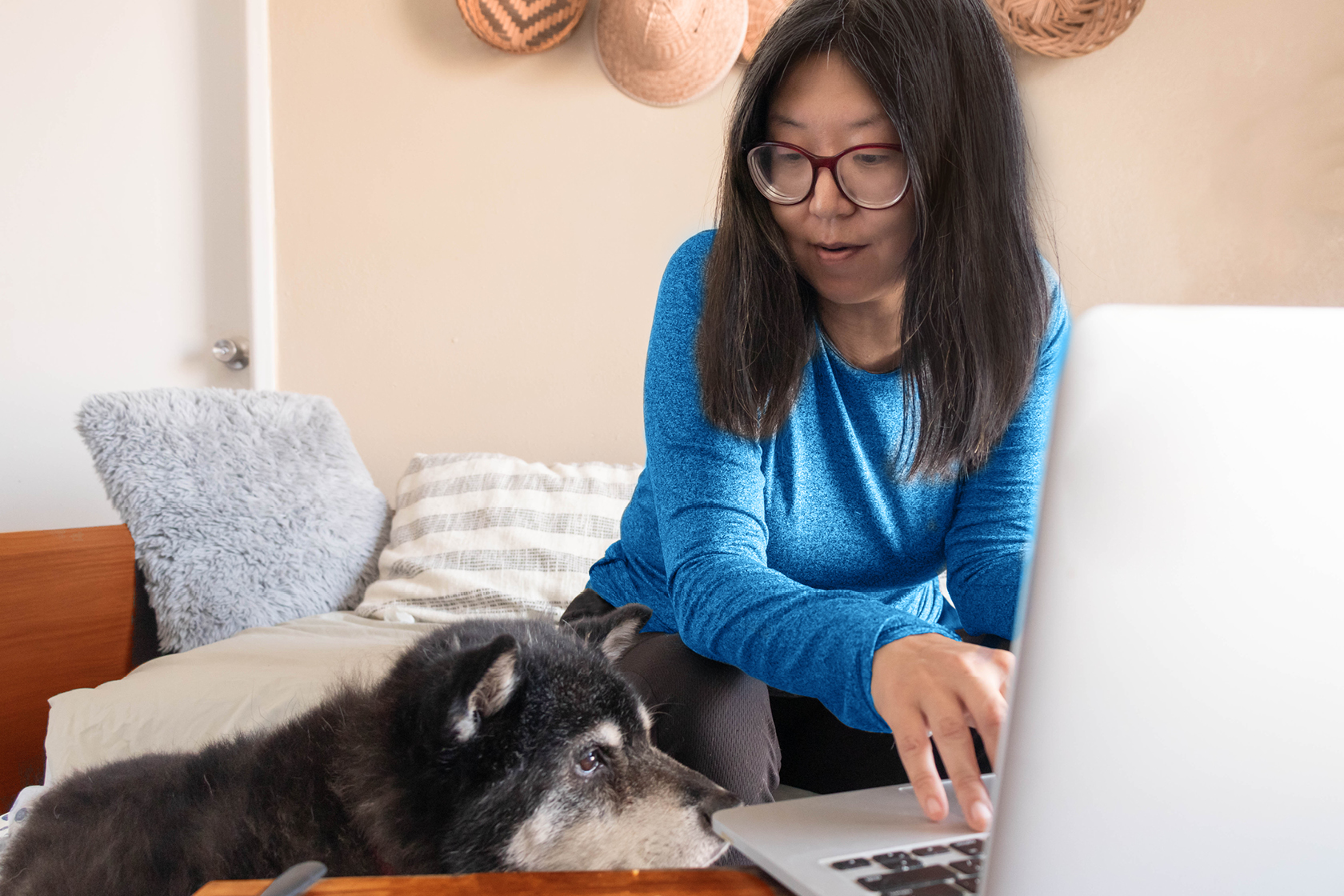 Pet owner is on laptop with senior dog next to her