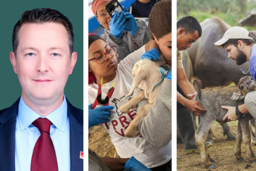 Images of 3 highlighted veterinary news stories: Robert Lawrie, MRCVS, Students in the UMES preveterinary program, and Cornell Wildlife Health Center Receives $35M Endowment