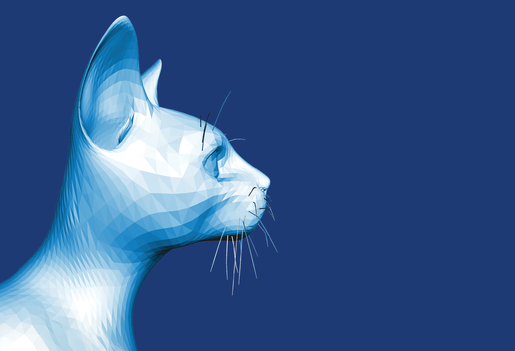 low-poly illustration, profile image of a cat's head