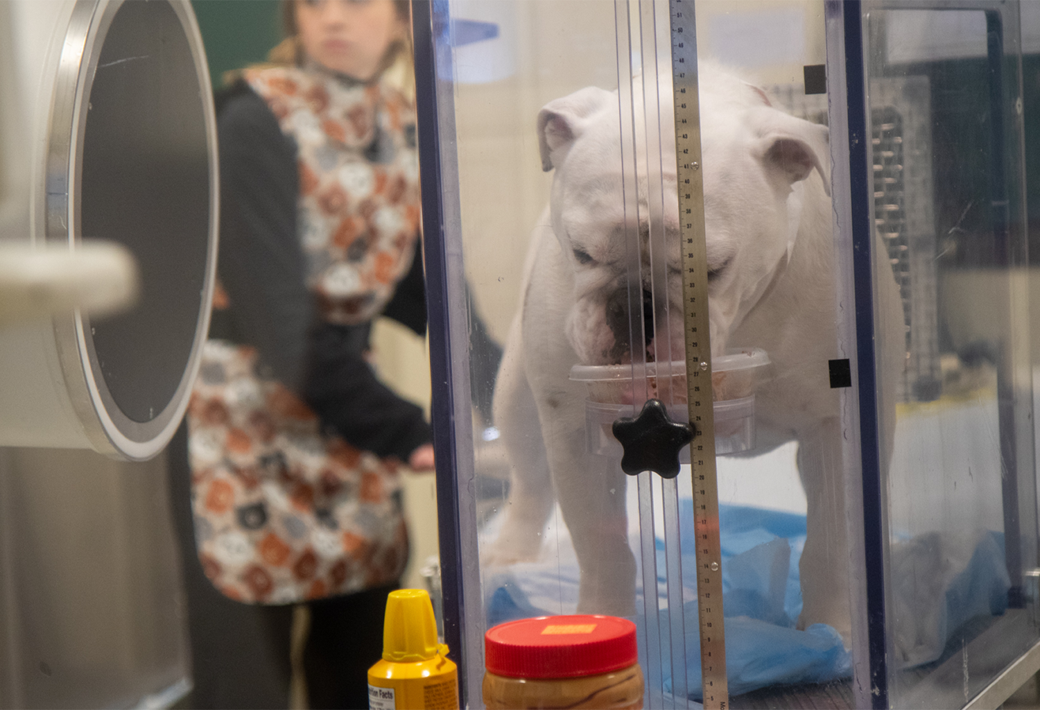 dog at breathe clinic