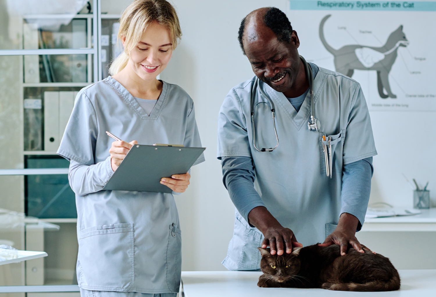 Two people who work at a veterinary clinic looking at a cat and taking notes