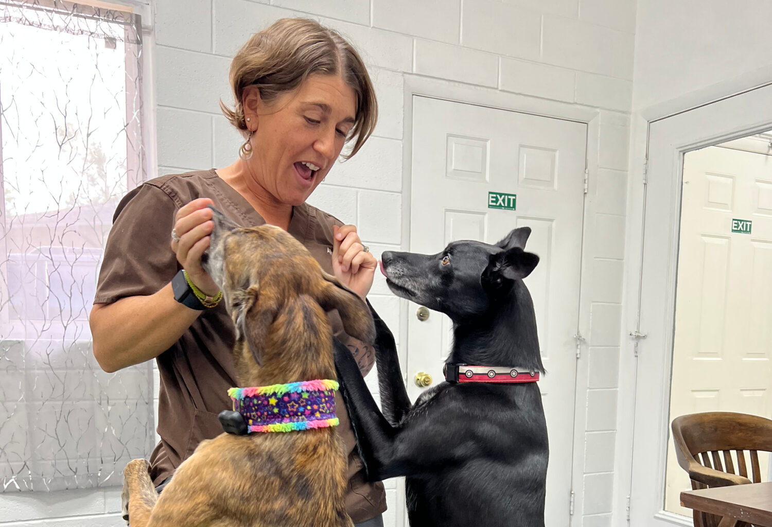 Photo of Alice Baker Meuten, DVM, DACVSMR, MSTCVM, smiling and giving 2 dogs a treat as they jump up on her.