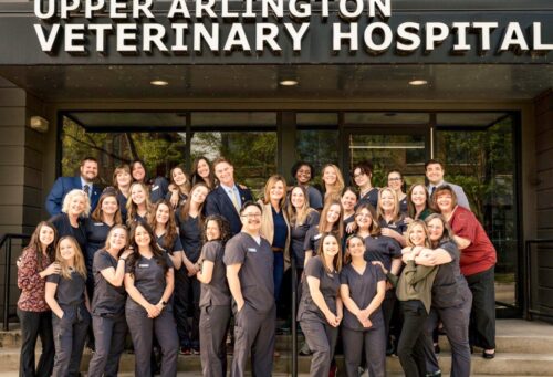 Group photo of the 2024 AAHA Accredited Practice of the Year, Upper Arlington Veterinary Hospital