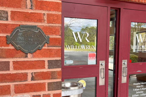 Entrance to an animal hospital that is AAHA accredited and displaying the AAHA logo