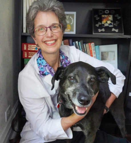 Sally Foote, DVM, CABC-IAABC