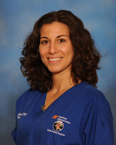 Danielle Browning, LVMT, VTS (Surgery)