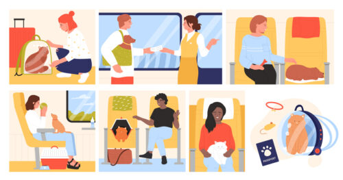 Passengers travel with pets by plane set vector illustration. Cartoon scenes inside airplane with pet owners sitting on seats with cat or dog, bags for relocation or carriers for animal under chairs