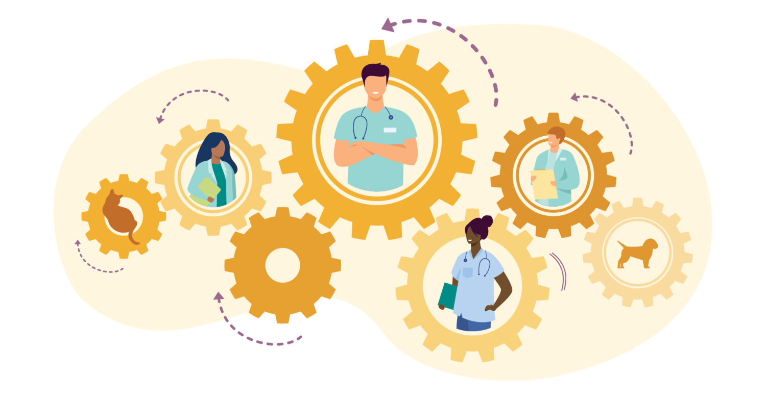 Illustration of veterinary team members inside golden gears