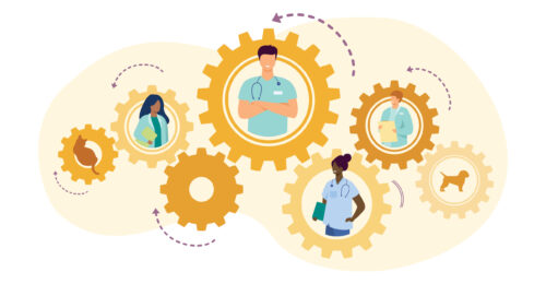 Illustration of veterinary team members inside golden gears