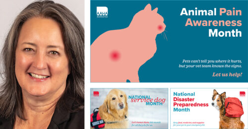 Margot Vahrenwald DVM and various images from the September publicity toolbox
